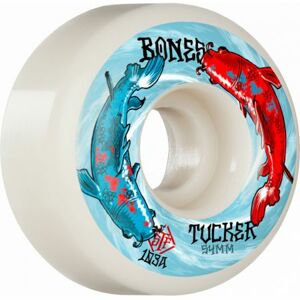 SK8 KOLA BONES TUCKER BIG FISH V1 ST. - modrá